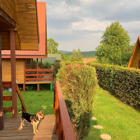 Domki Nad Solina Czarny Kot 509-797-777 Extérieur photo