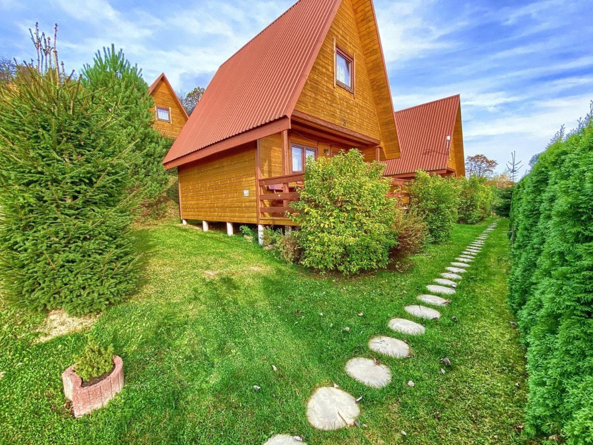 Domki Nad Solina Czarny Kot 509-797-777 Extérieur photo