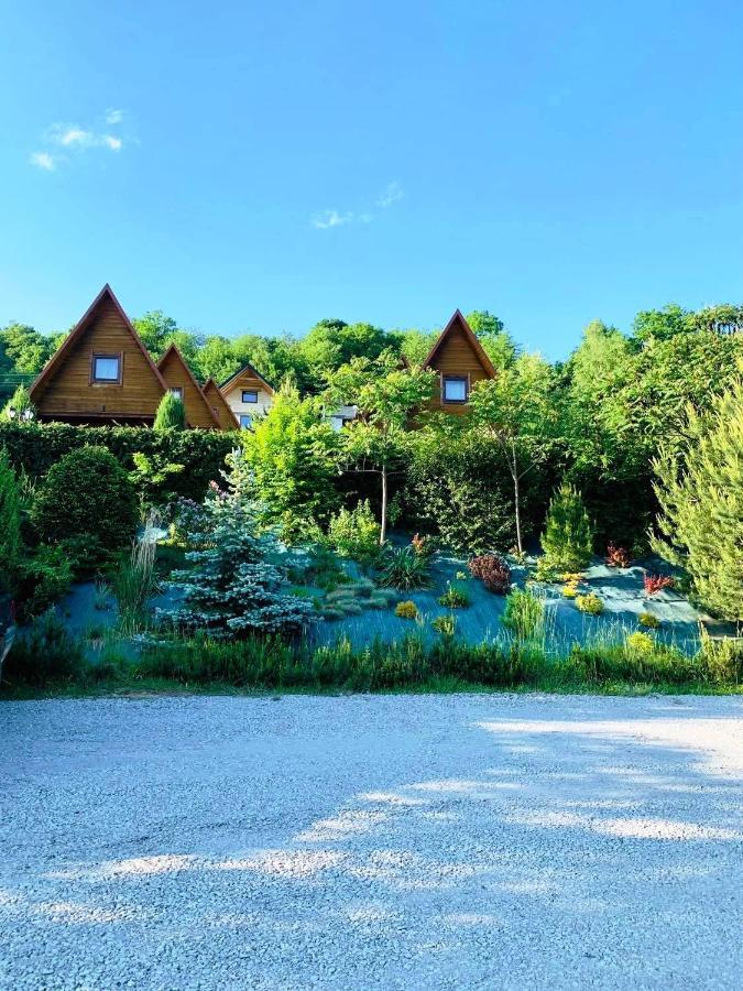 Domki Nad Solina Czarny Kot 509-797-777 Extérieur photo