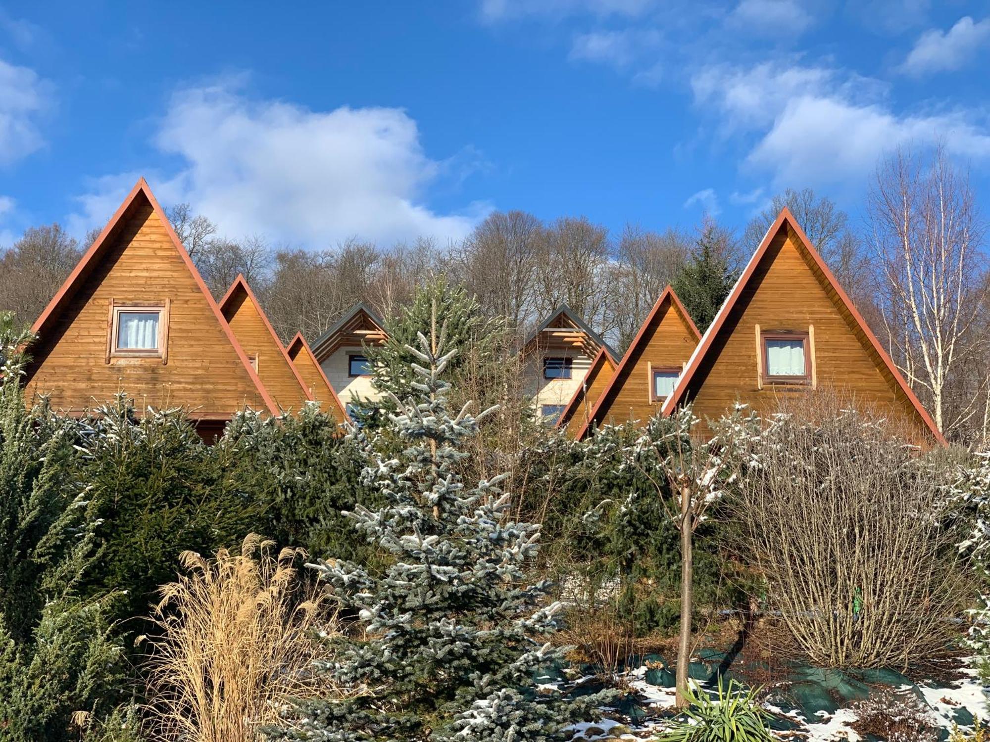 Domki Nad Solina Czarny Kot 509-797-777 Extérieur photo
