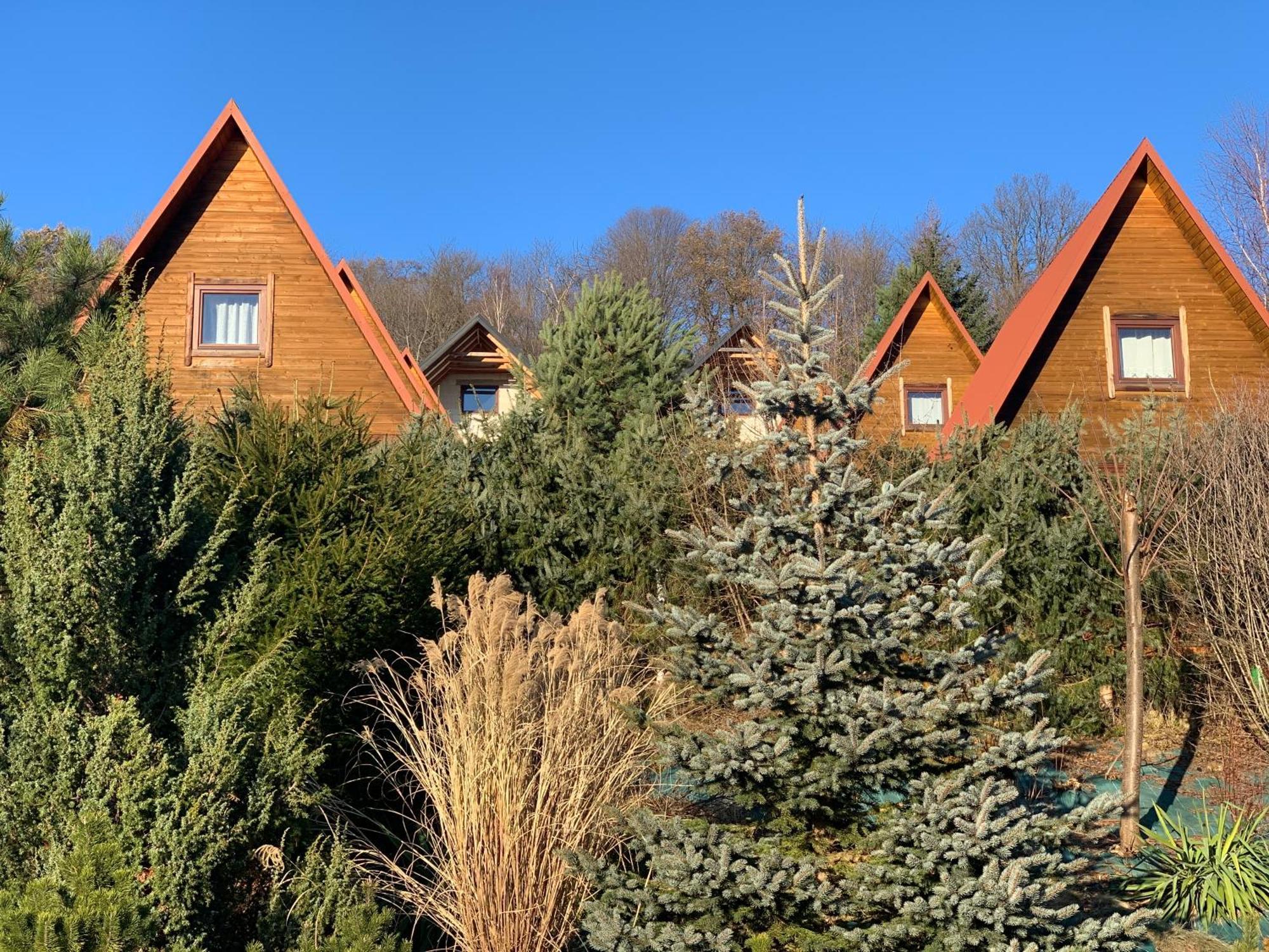 Domki Nad Solina Czarny Kot 509-797-777 Extérieur photo