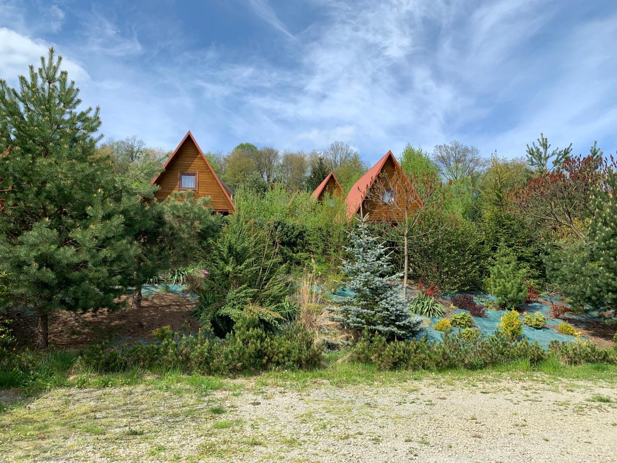 Domki Nad Solina Czarny Kot 509-797-777 Extérieur photo